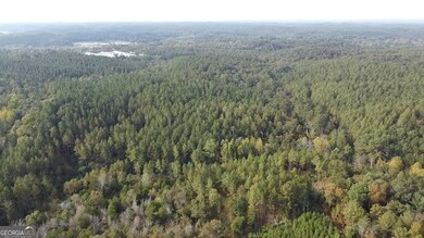 0 Possum Hollow Rd SE, Fairmount, GA 30139 - photo 6