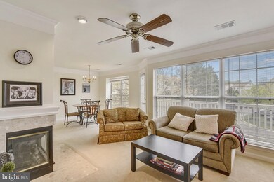 8204 Catbird Cir unit 201, Lorton, VA 22079 - photo 3