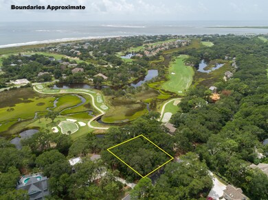 2423 High Hammock Rd, Seabrook Island, SC 29455 - photo 2