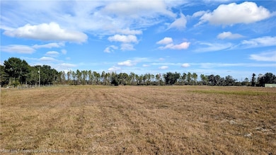 4492 Alderman Rd, Bowling Green, FL 33834 - photo 7