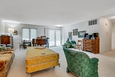 Nice Natural Light in the Living Room