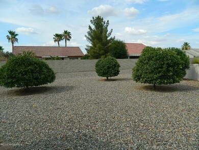 BACK YARD NORTH WALL