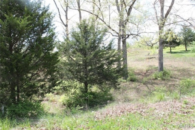 0 Oakridge Estate Block 2 Lot 40 unit MIS25078527, Saint Clair, MO 63077 - photo 5