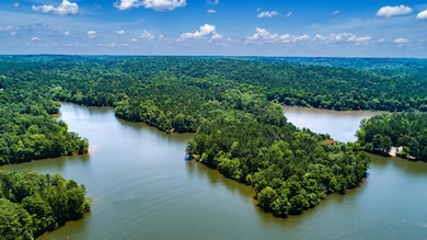 1607 Sturdivant Rd, Jacksons Gap, AL 36861 - photo 5