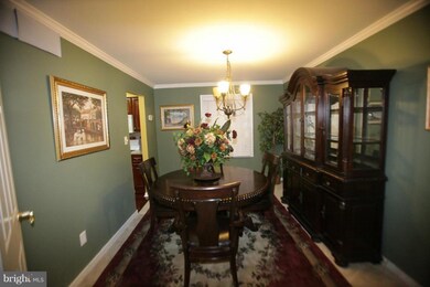 6135 Camelback Ln, Columbia, MD 21045 - photo 5