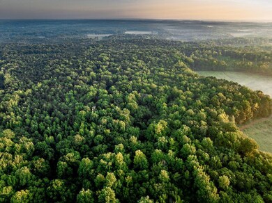 0 Deer Hill Rd unit LotWP001 24553785, Fulton, MS 38843 - photo 5