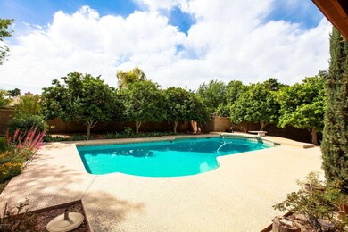 Refreshing diving pool