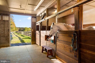 20215 Nanticoke Rd, Nanticoke, MD 21840 - photo 7