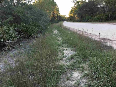 0 Yates Creek Rd unit 275087, Perry, FL 32348 - photo 6