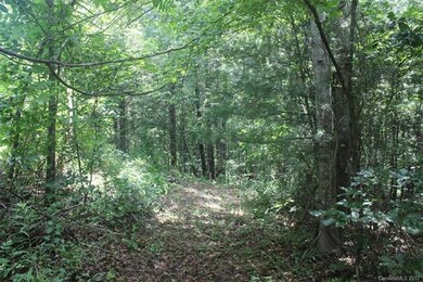 59 Wesley Dr, Leicester, NC 28748 - photo 3