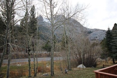Carson Peak Views