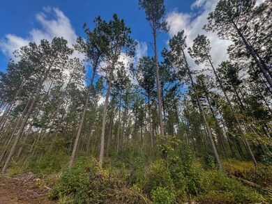 0 Pisgah Rd unit 4, Brandon, MS 39047 - photo 5