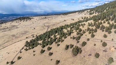 0 Private Rd unit 7747093, Cripple Creek, CO 80813 - photo 4