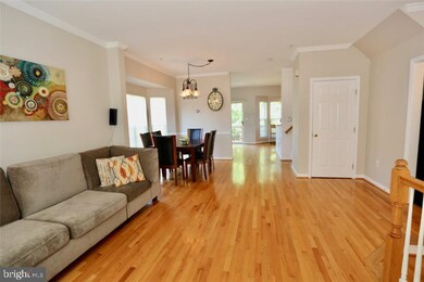 6030 Madison Overlook Ct, Falls Church, VA 22041 - photo 3