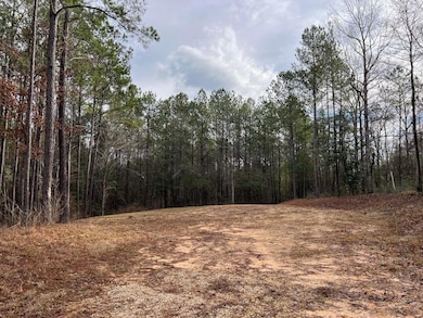 107 Fairview Dr, Petal, MS 39465 - photo 4