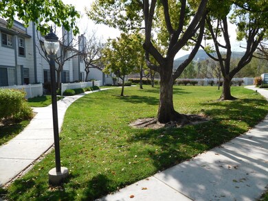 4 front grass area
