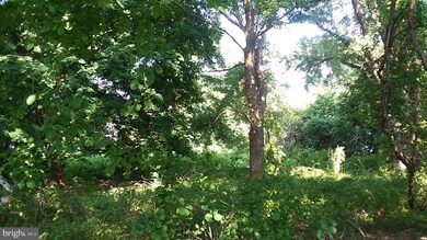 23001 Ridge Rd, Germantown, MD 20876 - photo 3