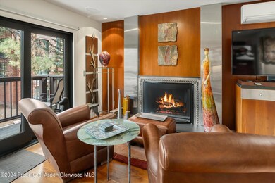 650 S Monarch St unit 9, Aspen, CO 81611 - photo 3