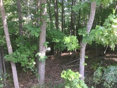 233 Smokemont Dr unit 61, Arden, NC 28704 - photo 2