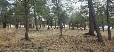 unlisted-address, Ruidoso, NM 88345 - photo 5