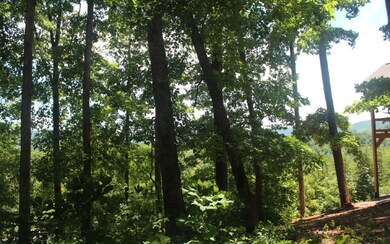 Additional View