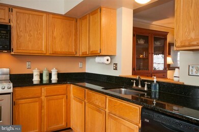 5338 Chase Lions Way, Columbia, MD 21044 - photo 7