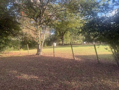 3814 Alabama 131, Clayton, AL 36016 - photo 4