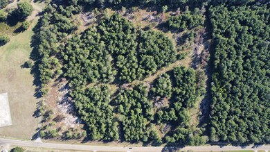 TBD Farm To Market 1004, Call, TX 75933 - photo 2