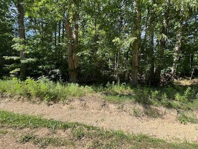 V/L National Pkwy unit 25, Chikaming Township, MI 49129 - photo 6