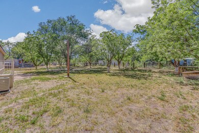 441 Valle Los Nogales Dr, Socorro, TX 79927 - photo 5