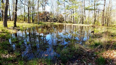 pond