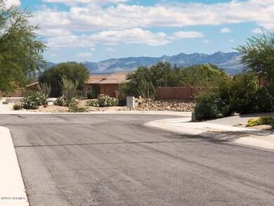 105 E. Placita del Polen