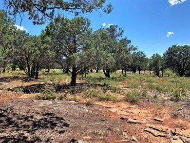 1102 N Earhart Pkwy, Payson, AZ 85541 - photo 4