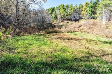 846 Joe Shoemaker Rd, Vilas, NC 28692 - photo 3