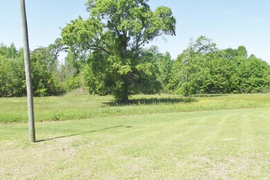 31 Shorty Ekes Rd, Laurel, MS 39443 - photo 7