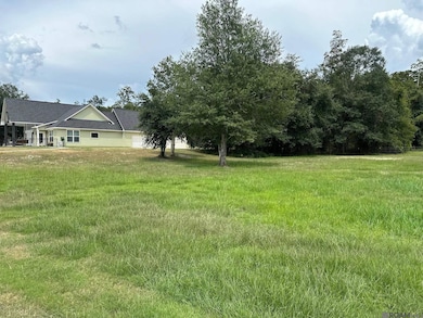 15850 Cypress Point Ln, French Settlement, LA 70733 - photo 6