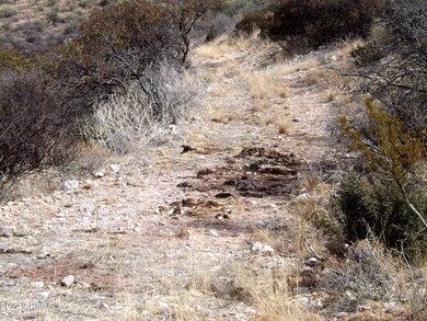 Red Mountain lot 1 03