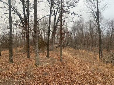 0 Logan Cave 5 Acres + - Rd unit 1173991, Siloam Springs, AR 72761 - photo 5