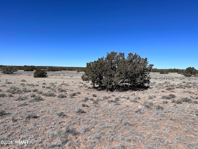 004P N7204, St. Johns, AZ 85936 - photo 4