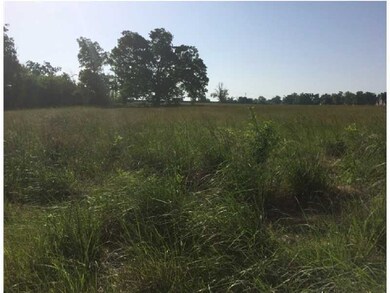 13451 Meadow Ridge, Fayetteville, AR 72704 - photo 2