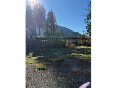 91241 Blue River Rd, Blue River, OR 97413 - photo 2