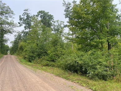 ON W Zettel Rd, Exeland, WI 54835 - photo 2