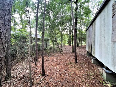 14921 Druid St, Conroe, TX 77302 - photo 3