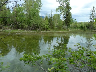 2447 Helena Flats Rd, Kalispell, MT 59901 - photo 5