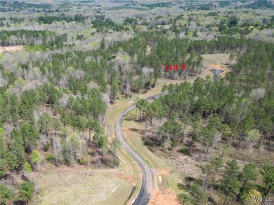 Lot 4 Pine Cir, Coker, AL 35452 - photo 6
