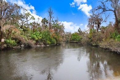 4868 Rambling River Rd, Brandon, FL 33511 - photo 7