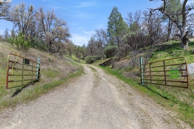 Ranch gates at Mines Rd. Entry for all 3 parcels.