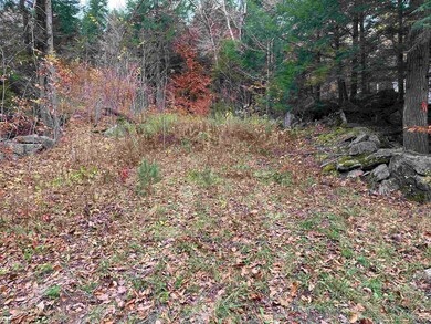 102 Colburn Farm Rd, Newbury, NH 03255 - photo 2