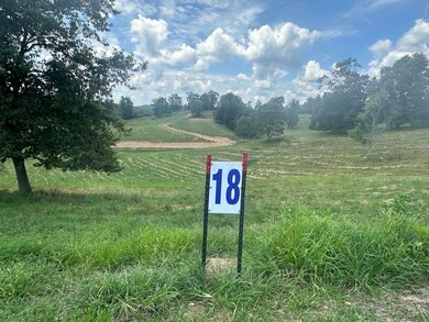 Tract 18 Pittsburg Landing Rd, London, KY 40741 - photo 7