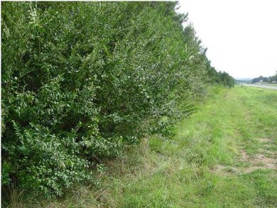 0 Hwy 27 unit 1524193, Trion, GA 30753 - photo 5